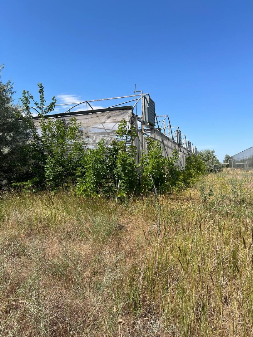 продажа предприятия номер C-174110 в Роксоланах, фото номер 13